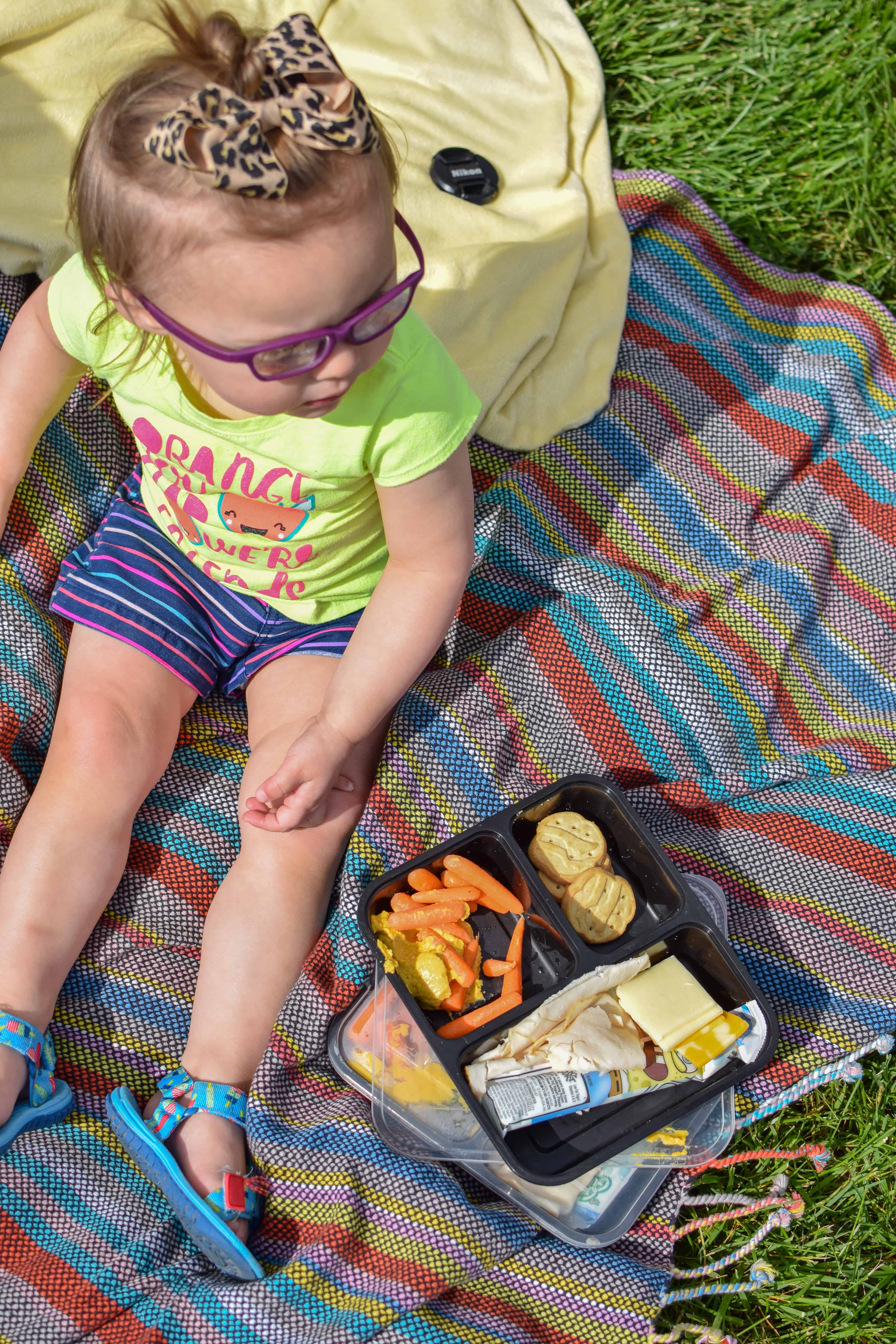 Easy DIY Lunchable Recipe For Picky Toddlers